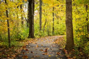 trail in Noblesville, IN
